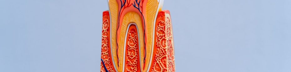 Signs You May Need a Root Canal: What to Watch For